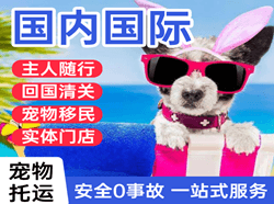 阿荣航空托运国际宠物托运 【国